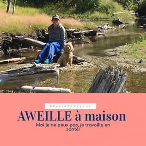 Meet your Posher, Audrey